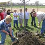 Grundy chamber tree planting