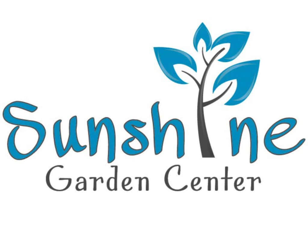 sunshine